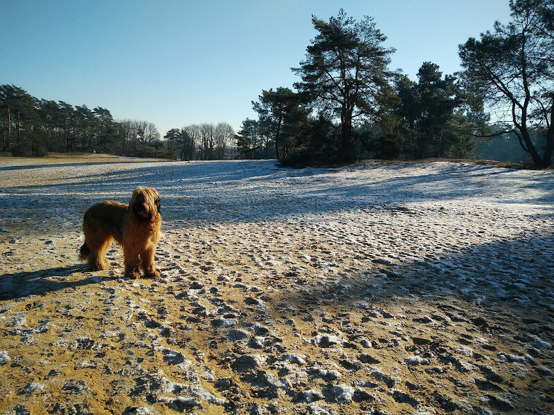 Foto van 2 Sterrenplekje