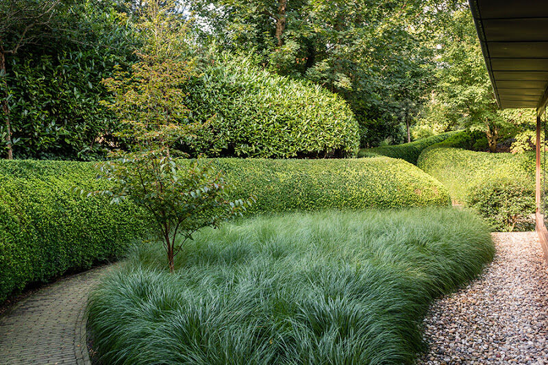 Foto van Wirtz Tuinarchitectuur