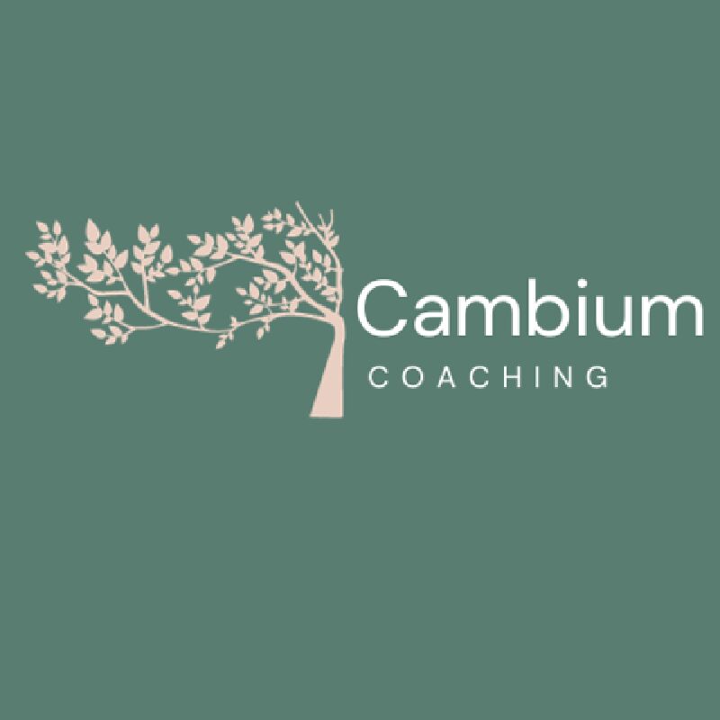 Foto van Cambium coaching