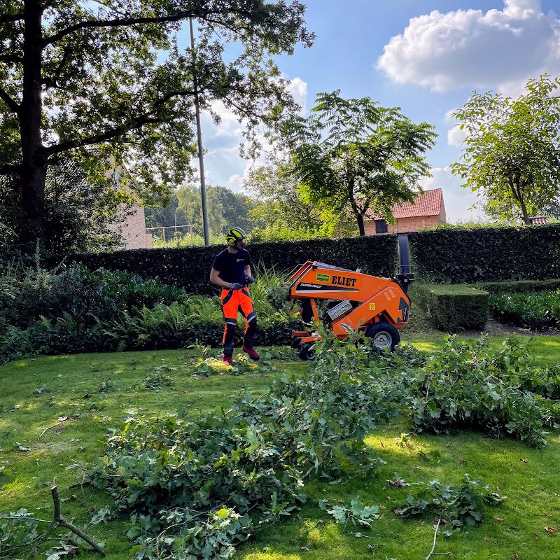 Foto van Arborum Boombeheer