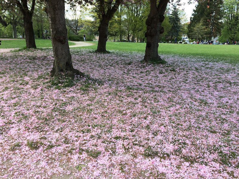 Foto van Speeltuin