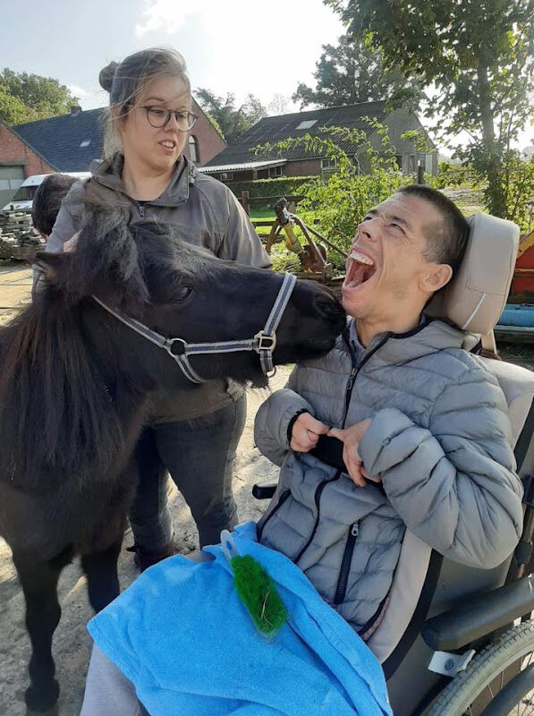 Foto van Stal Moleneind vzw - Paardenpension & zorgboerderij Essen