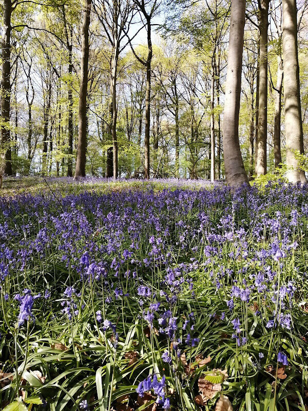 Foto van Diëtist en tabakoloog