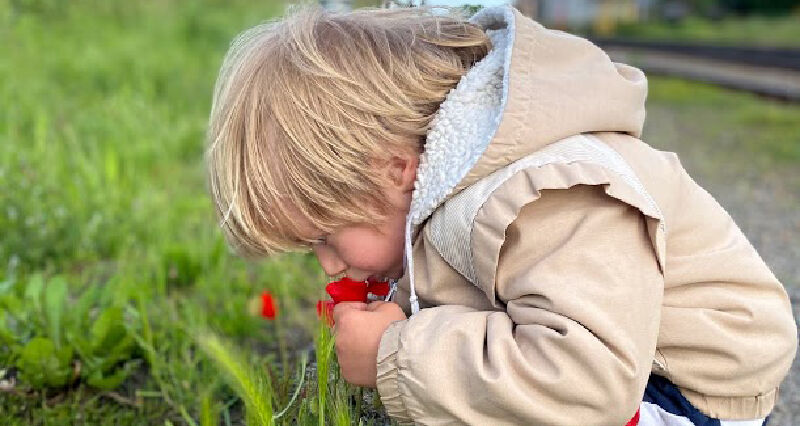 Foto van Camps Coaching - Creatieve en Oplossingsgerichte therapie op maat