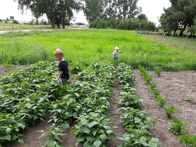 Foto van Aveve Hoogstraten-Meer