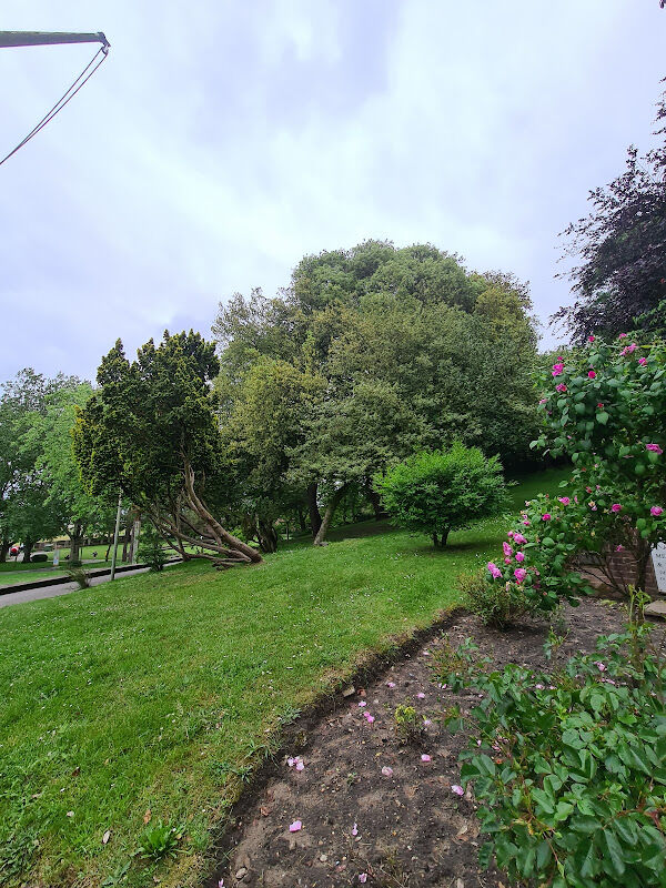 Foto van Jack Rose Memorial Wall & Rose Garden