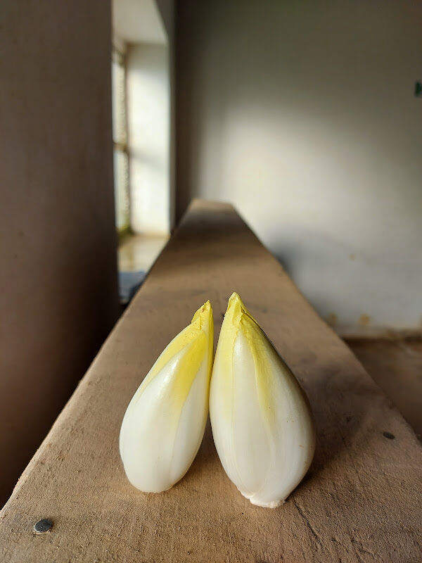 Foto van Grondwitloof Van Bael