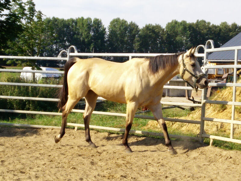 Foto van De Gersalhoeve