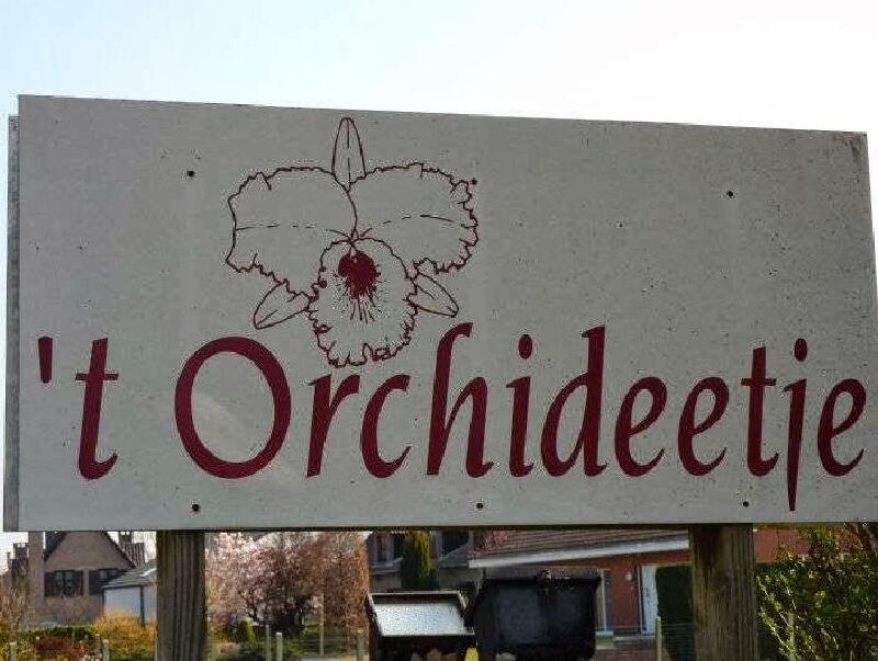 Foto van 't Orchideetje