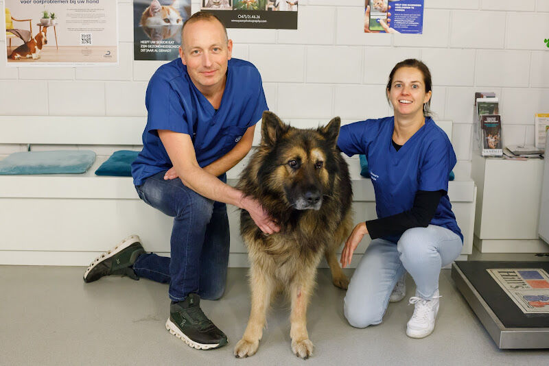 Foto van Dierenartsenpraktijk KYON BV