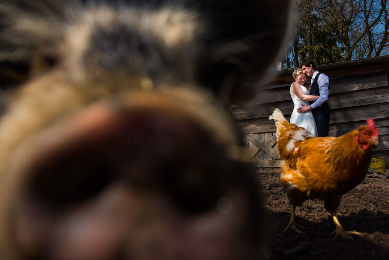 Foto van Dries Renglé - Huwelijksfotograaf