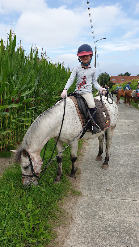 Foto van Marchant / Marleen