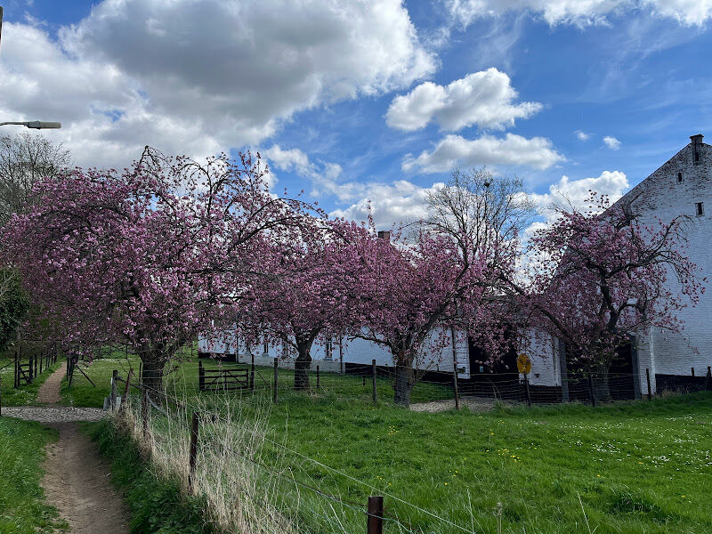 Foto van Lindenhof