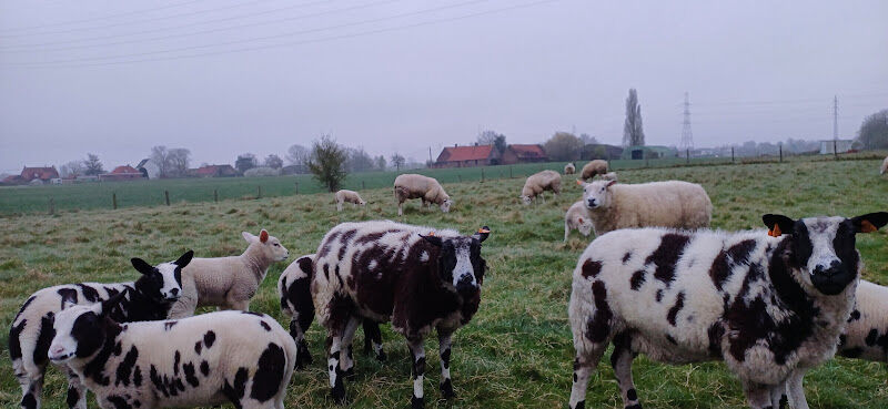 Foto van Atelier Groen