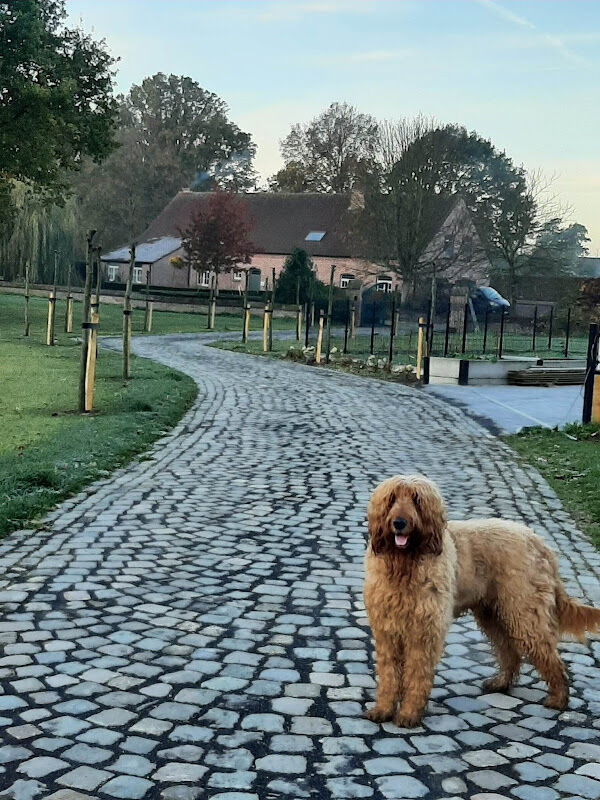 Foto van Reinhilde Christis