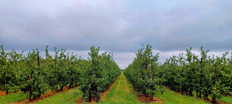 Foto van FruitYou