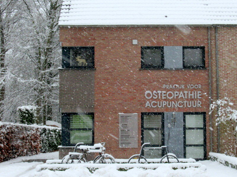 Foto van Praktijk voor Osteopathie en acupunctuur Tiepermann Patrick