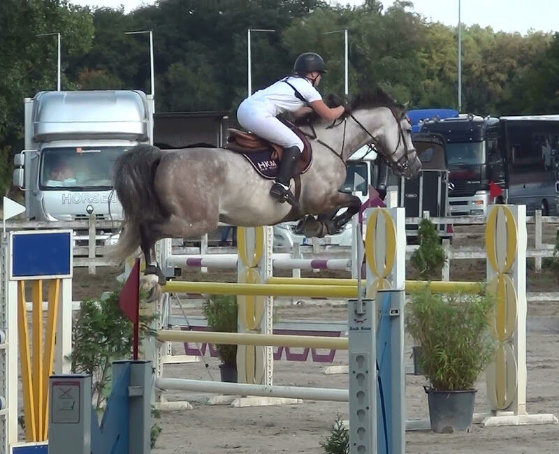 Foto van VDC Stables