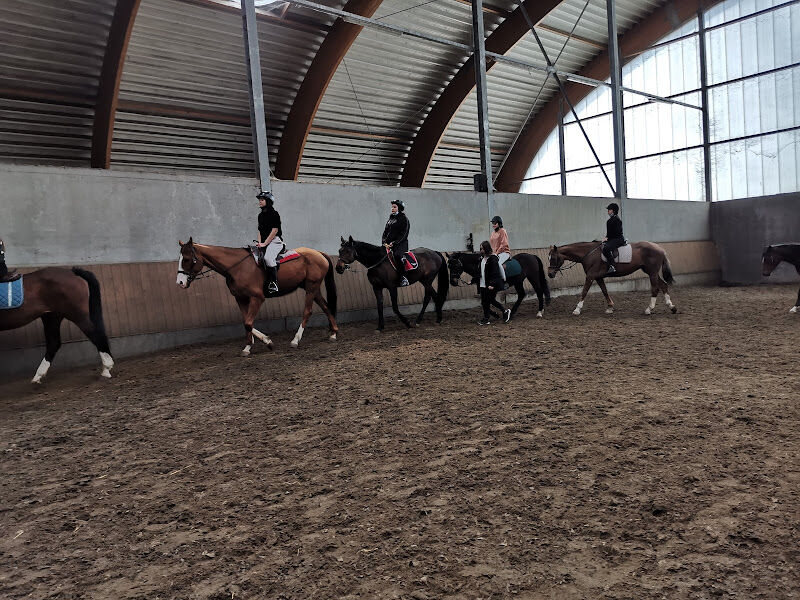 Foto van Manege Alberdienst