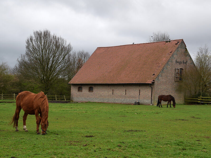 Foto van De Dwerse Hagen