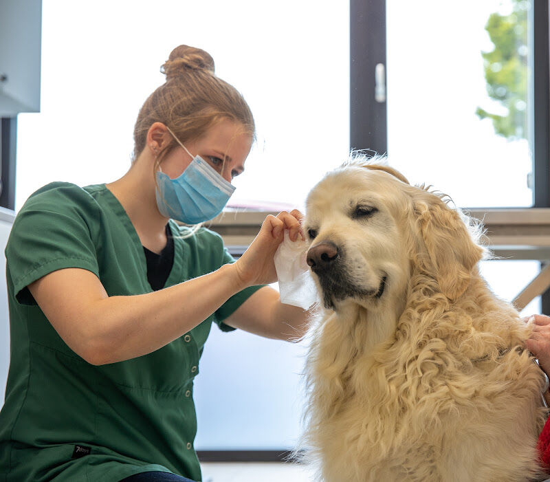 Foto van Veterinair Quadrant Denderleeuw